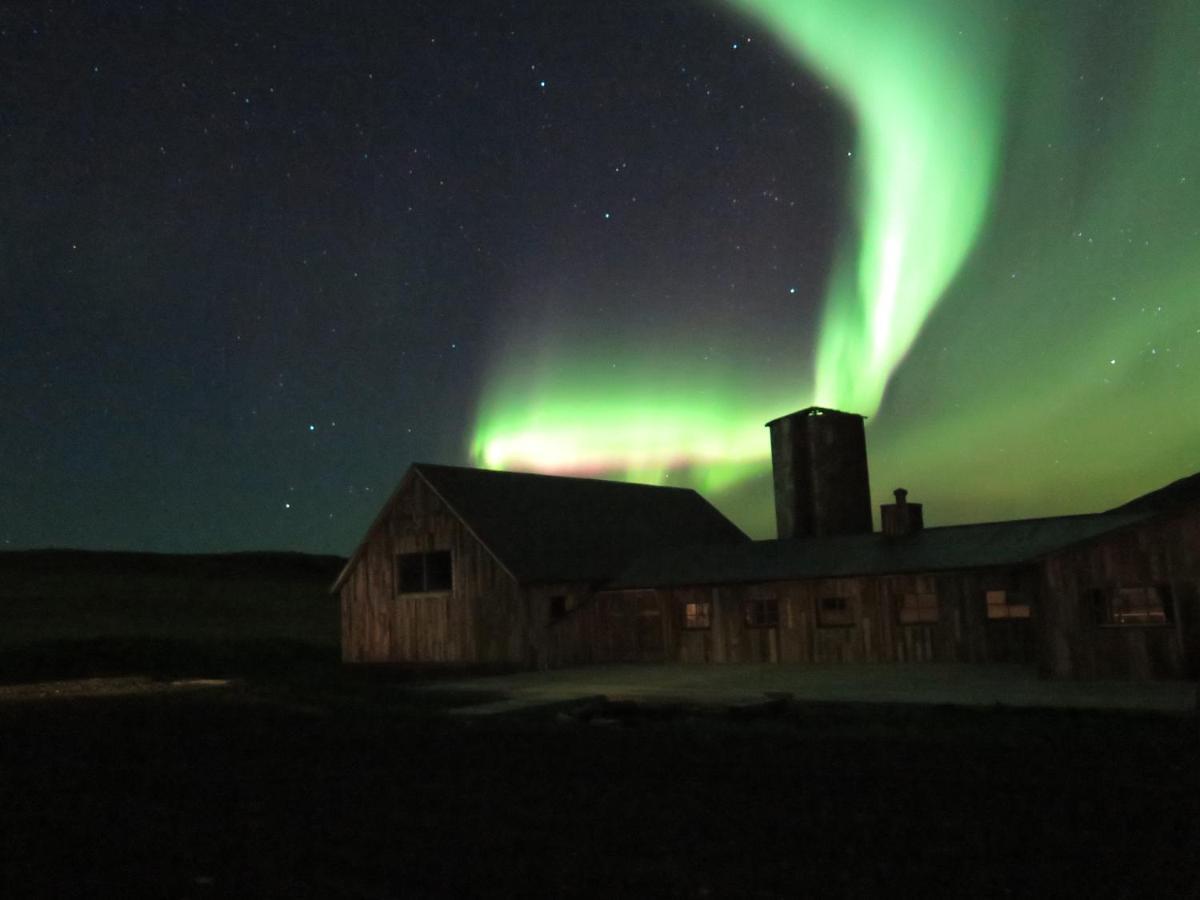 Borealis Hotel Úlfljótsvatn المظهر الخارجي الصورة